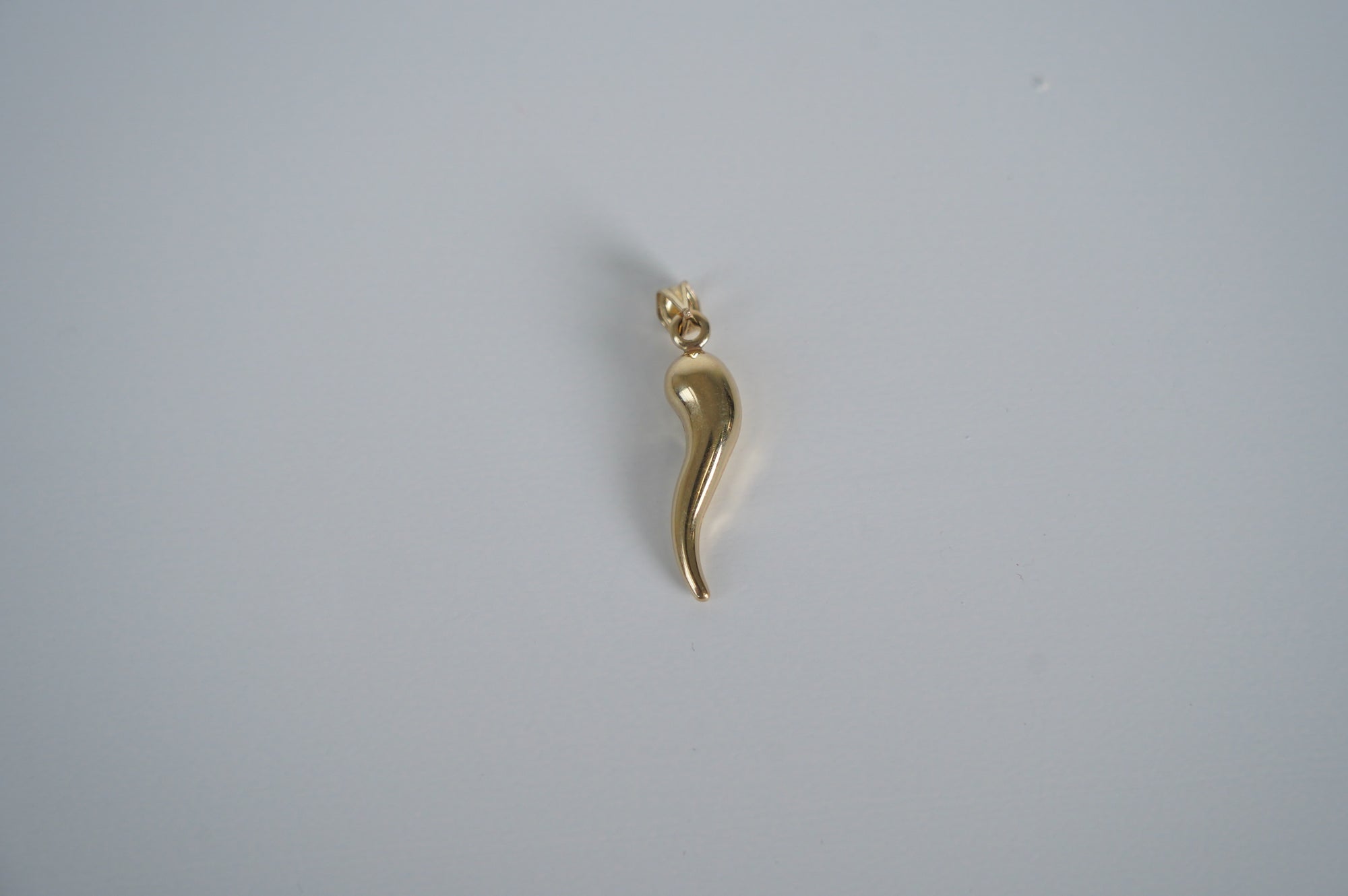 Gold Horn Pendant